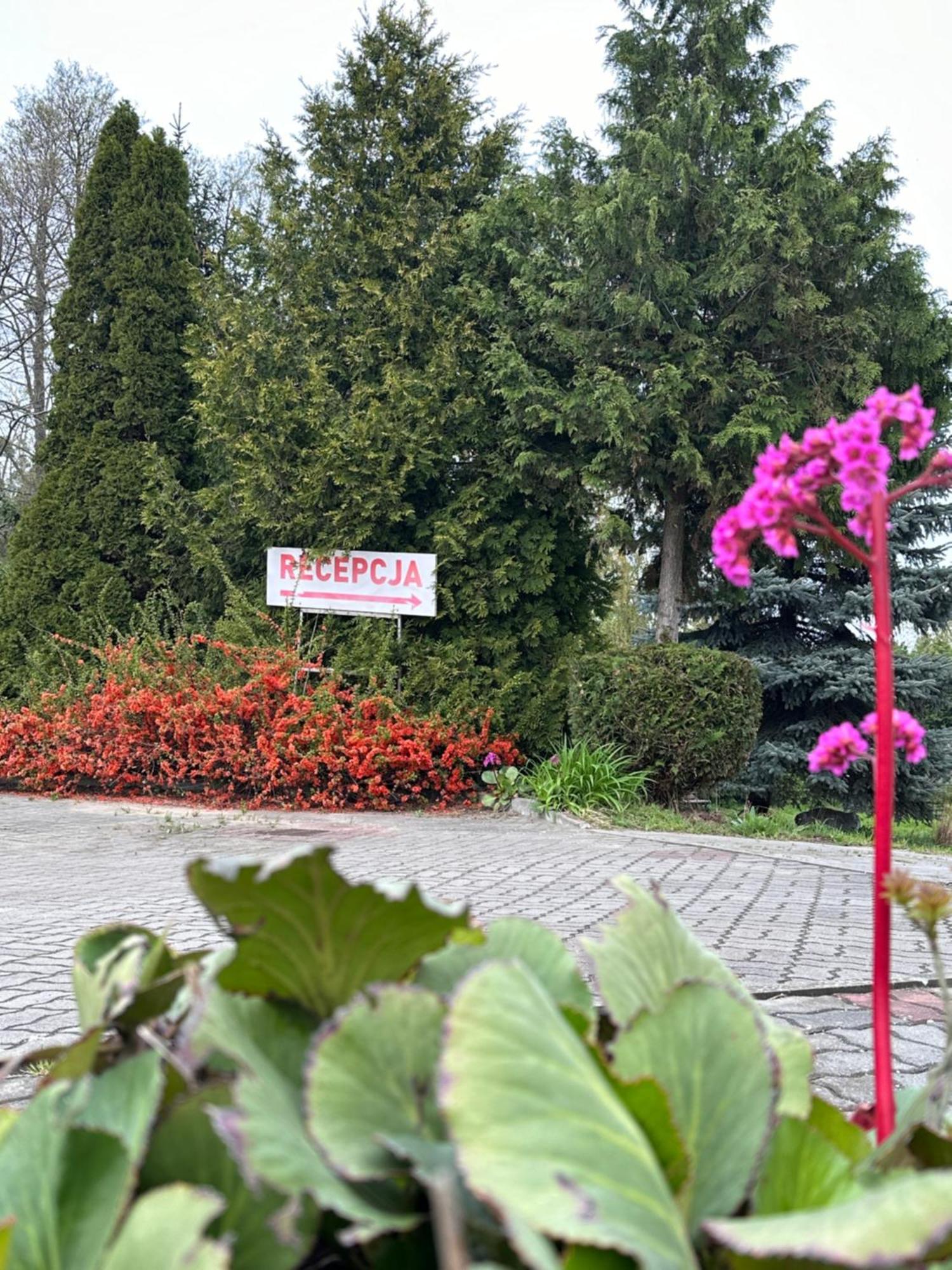 Karat Bed & Breakfast Malbork Exterior photo